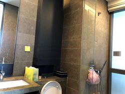 Skysuites@Anson (D2), Apartment #458519331